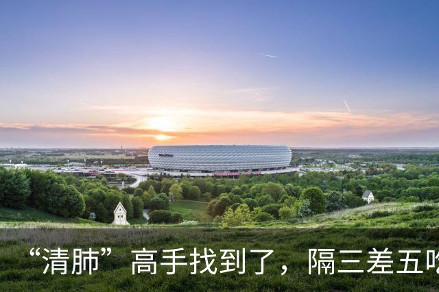 “清肺”高手找到了，隔三差五吃一次，给肺来个大扫除，清肺润肺！