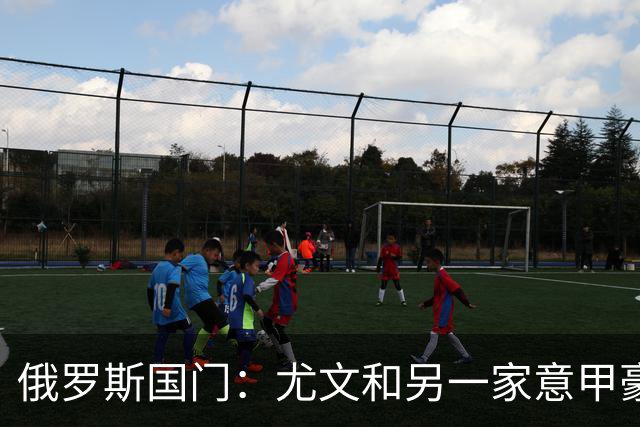俄罗斯国门：尤文和另一家意甲豪门曾对我感兴趣，意甲非常适合我