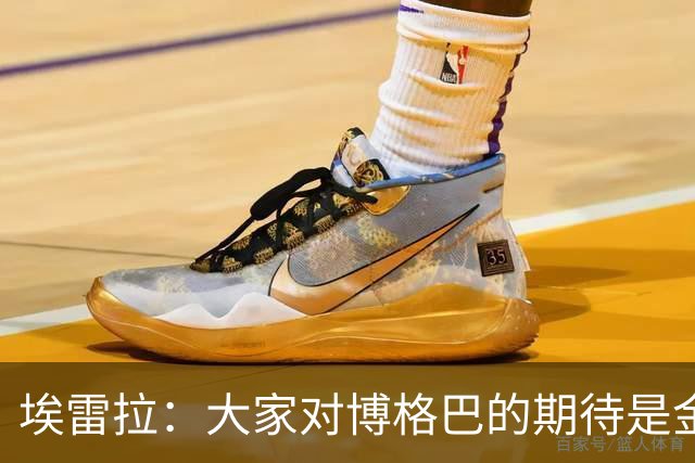 埃雷拉：大家对博格巴的期待是金球级别，我也不懂为何没达到