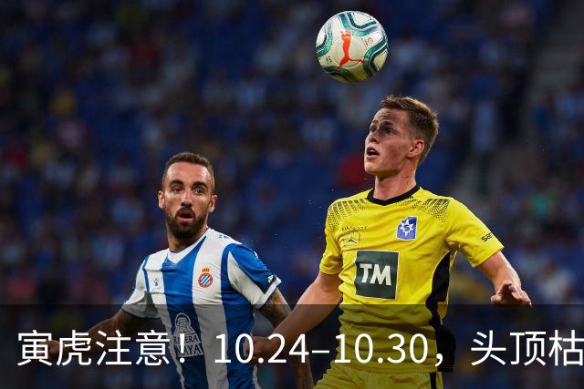 寅虎注意！10.24–10.30，头顶枯藤将断，有贵人伸手拉你一把