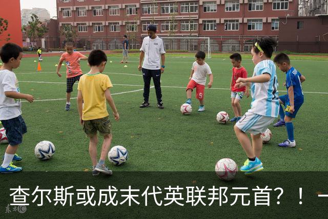 查尔斯或成末代英联邦元首？！一出访就挨骂，威廉：我可不干了！