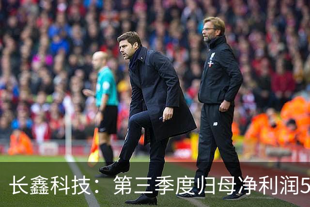 长鑫科技：第三季度归母净利润544.35亿元，同比扭亏为盈