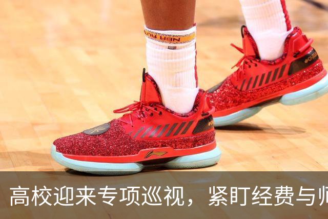 高校迎来专项巡视，紧盯经费与师德，清除少数校园蛀虫