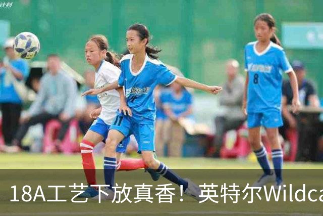 18A工艺下放真香！英特尔Wildcat Lake全面售罄：高管直言需求远超供应