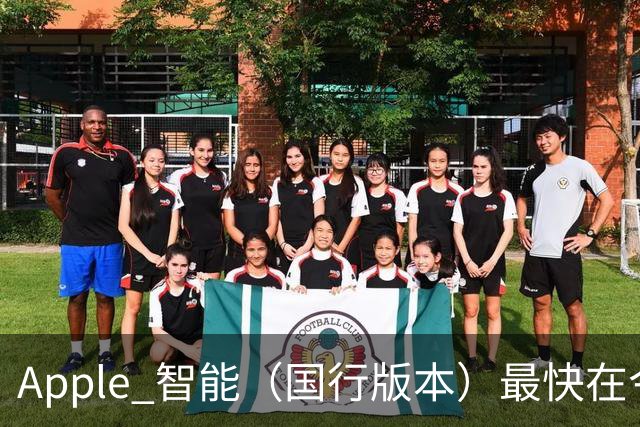 Apple 智能（国行版本）最快在今晚发布！